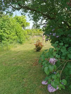 Ein Garten an der Unterkunft Friedenfelder Nest