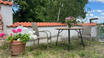 Ein Garten an der Unterkunft Villa Zeppelin