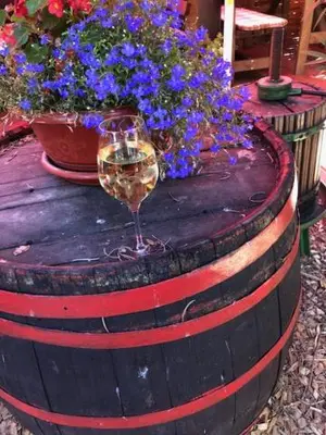 Getränke in der Unterkunft Hotel zum Ziehbrunnen