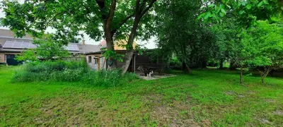 Ein Garten an der Unterkunft Ferienhaus Luna