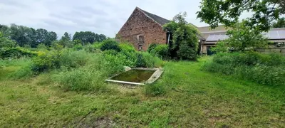 Ein Garten an der Unterkunft Ferienhaus Luna