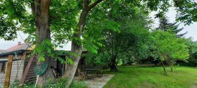 Ein Garten an der Unterkunft Ferienhaus Luna