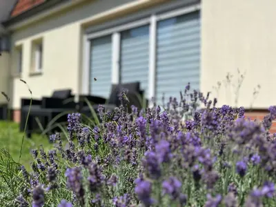 Ein Garten an der Unterkunft Casa Edelsita