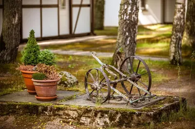 Ein Garten an der Unterkunft Seehotel Schorfheide