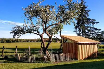 Ein Garten an der Unterkunft Ferienwohnung Alte Schule Chorin Schorfheide
