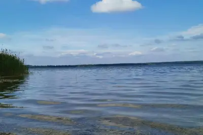 Naturlandschaft in der Nähe des Ferienhauses