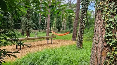 Ein Garten an der Unterkunft Kleine Auszeit - Cottage im Grünen