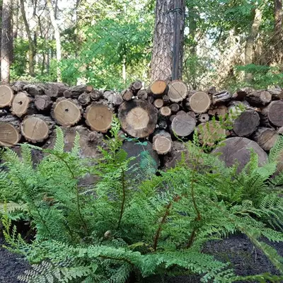Ein Garten an der Unterkunft Kleine Auszeit - Cottage im Grünen