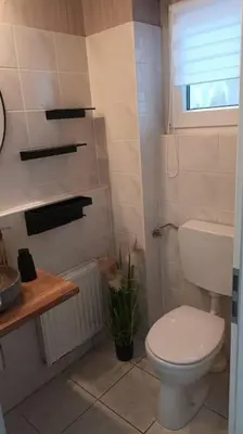 Ein Badezimmer in der Unterkunft Ferienhaus Zum Birkenwäldchen
