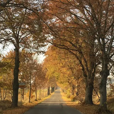 Naturlandschaft in der Nähe der Ferienwohnung