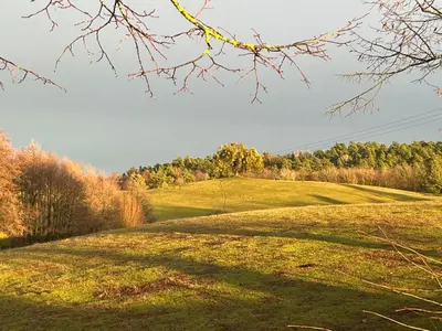 Naturlandschaft in der Nähe der Ferienwohnung
