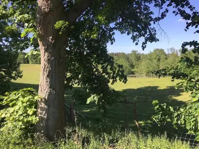 Naturlandschaft in der Nähe der Ferienwohnung
