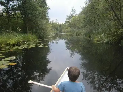 Naturlandschaft in der Nähe der Ferienwohnung