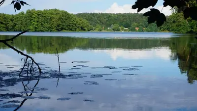 Naturlandschaft in der Nähe des Ferienhauses