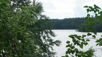 Naturlandschaft in der Nähe des Ferienhauses