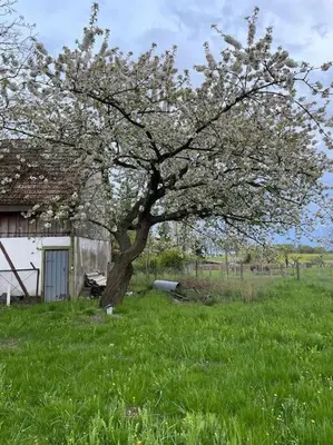Grundriss der Unterkunft Urlaubsidylle in der Uckermark