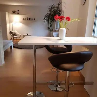 NICO Helles gemütliches Studio Innenstadt HomeOffice Workplace