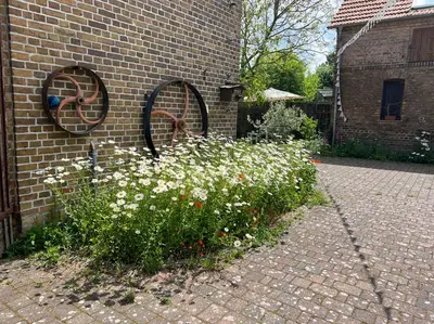 Grundriss der Unterkunft Ferienhof Schmetterlingsgarten