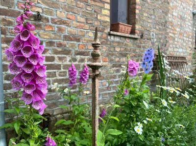 Grundriss der Unterkunft Ferienhof Schmetterlingsgarten