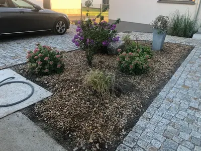 Ein Garten an der Unterkunft Appartement Kirschblüte