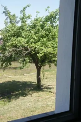 Ein Garten an der Unterkunft Ferienwohnung Ilse im Haus Namenlos