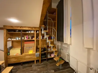 Ein Etagenbett oder Etagenbetten in einem Zimmer der Unterkunft Cityflair Berlin Apartments & Rooms
