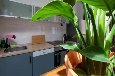 Küche/Küchenzeile in der Unterkunft Atelier Botanicó