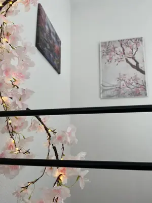 Grundriss der Unterkunft Zimmer der Welt