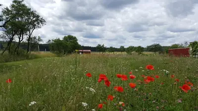 Naturlandschaft in der Nähe des Ferienhauses