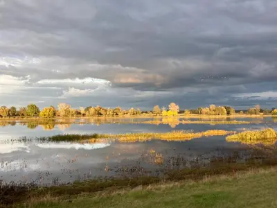 Naturlandschaft in der Nähe des Ferienhauses
