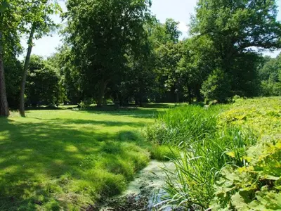 Naturlandschaft in der Nähe des Ferienhauses