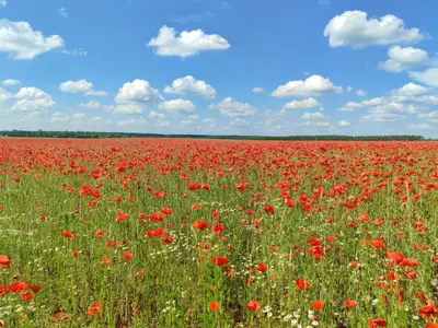 Naturlandschaft in der Nähe der Ferienwohnung