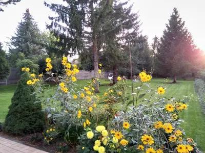 Ein Garten an der Unterkunft 2-Zimmer-Ferienwohnung 55 qm, bei Berlin