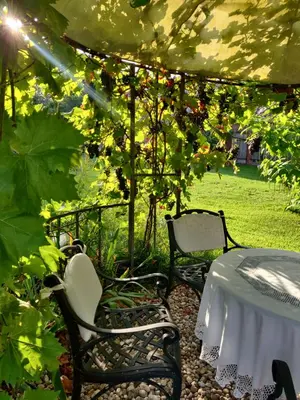 Ein Garten an der Unterkunft Schuberts Oderbruch Landpension