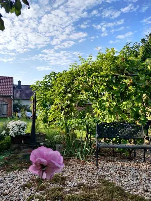 Ein Garten an der Unterkunft Schuberts Oderbruch Landpension