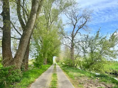 Naturlandschaft in der Nähe der Ferienwohnung