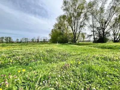Ein Garten an der Unterkunft Kranichrast