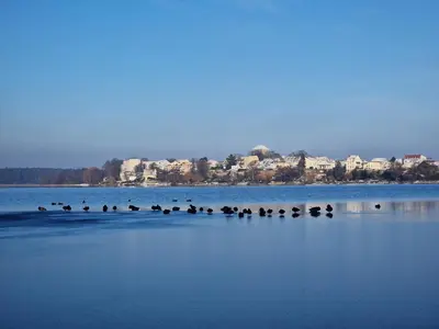 Naturlandschaft in der Nähe der Ferienwohnung