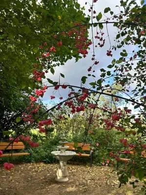 Ein Garten an der Unterkunft Sonnige Dachgeschoss-Oase!
