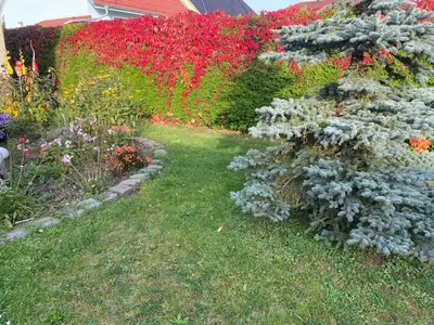 Ein Garten an der Unterkunft Ferienhaus am Feld nahe Berlin