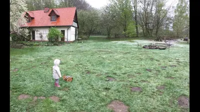 Ein Garten an der Unterkunft Mitten auf dem Land