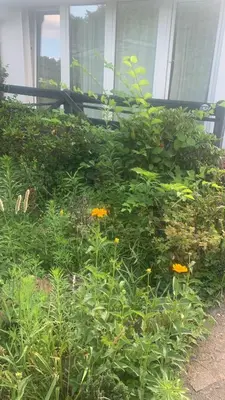 Ein Garten an der Unterkunft Köpenick spree 1 bed room house