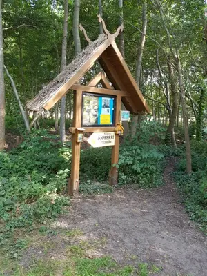 Ein Garten an der Unterkunft Ferienwohnung am Mühlstein