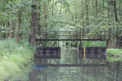 Naturlandschaft in der Nähe der Ferienwohnung