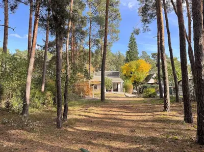 Naturlandschaft in der Nähe des Ferienhauses