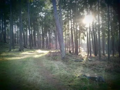 Naturlandschaft in der Nähe der Ferienwohnung