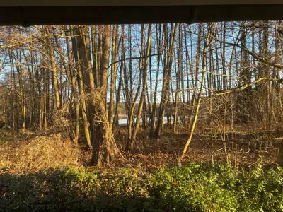 Naturlandschaft in der Nähe des Ferienhauses