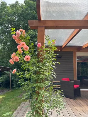 Ein Garten an der Unterkunft Behagliches Cottage am See