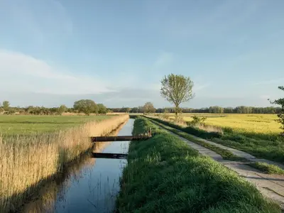Naturlandschaft in der Nähe des Ferienhauses