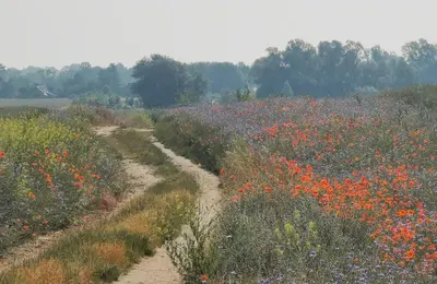 Naturlandschaft in der Nähe des Ferienhauses